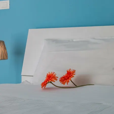 Color Notes Close To @treviso Train Station Apartment